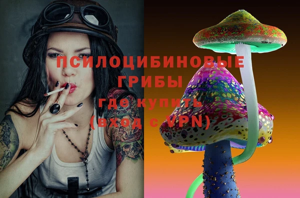 мескалин Каменка