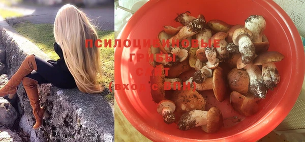Альфа ПВП Ступино