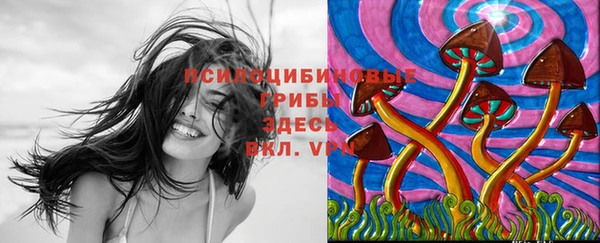 MDMA Алексин