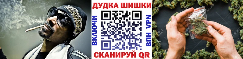 Бошки марихуана сатива  Ставрополь 